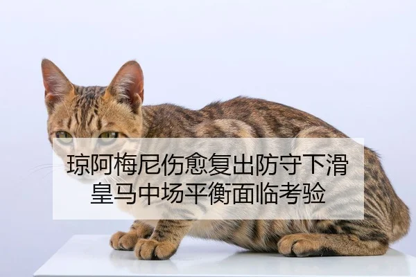 琼阿梅尼伤愈复出防守下滑 皇马中场平衡面临考验